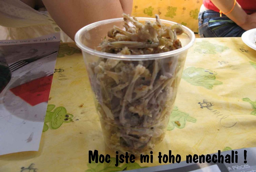 JPG 0176.jpg